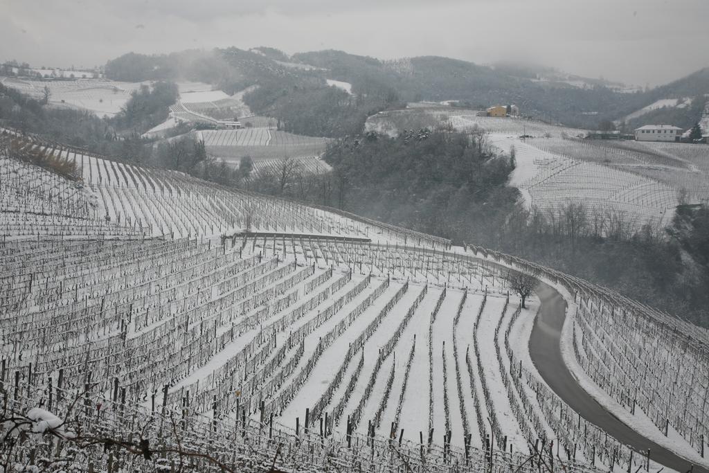 I Boidi Daire Nizza Monferrato Dış mekan fotoğraf