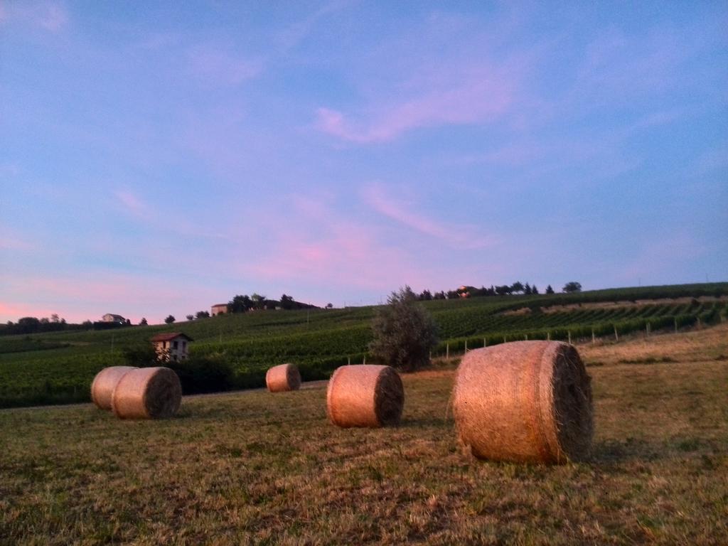 I Boidi Daire Nizza Monferrato Dış mekan fotoğraf