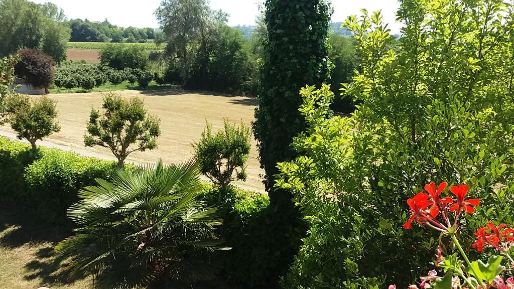 I Boidi Daire Nizza Monferrato Dış mekan fotoğraf