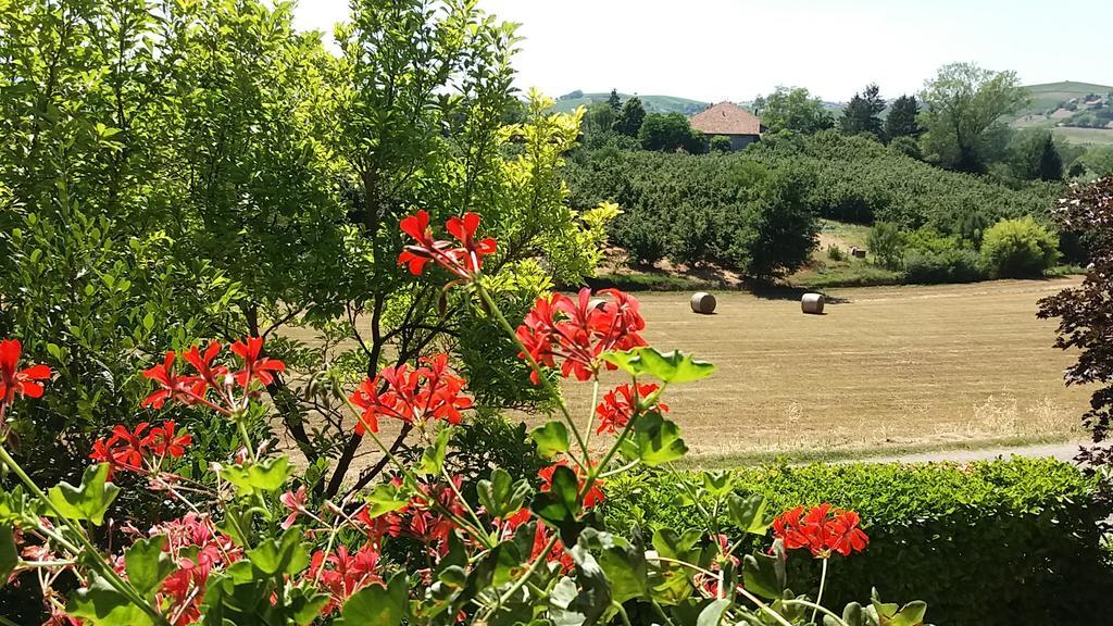 I Boidi Daire Nizza Monferrato Dış mekan fotoğraf